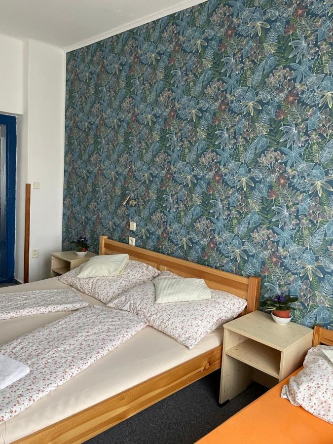 Penzion Slunecnice Dvůr Králové nad Labem Exterior foto